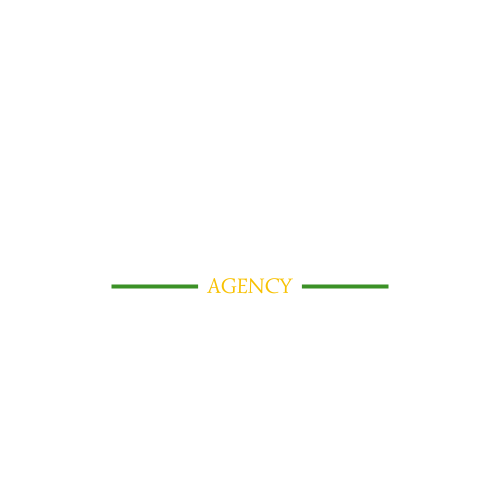 Dream Travel Agency